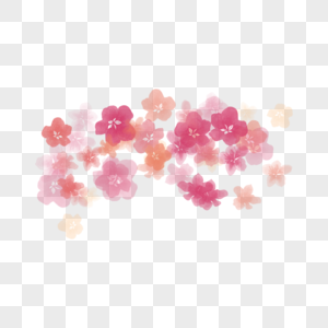 透明的水彩桃花花卉图片