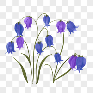 深紫色蓝铃花水彩婚礼花卉图片