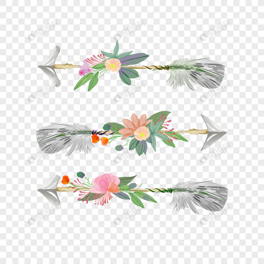 奇异植物奇特波西米亚风箭头花卉图片