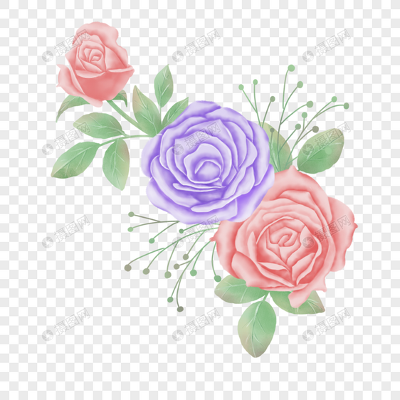 红色紫色水彩玫瑰花卉图片