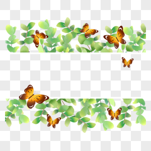 黄色蝴蝶树叶植物水彩边框图片