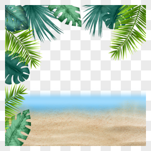 夏季茂盛植物树叶沙滩海边图片