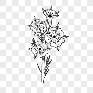 漂亮花卉黑白风格线条画图片