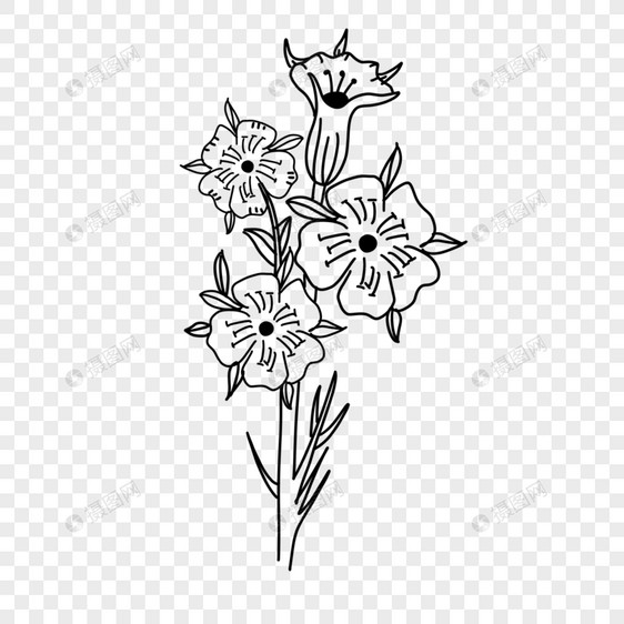 漂亮花卉黑白风格线条画图片