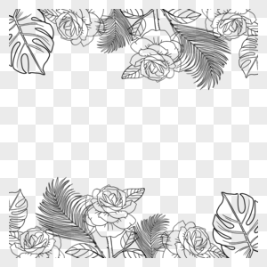 花卉热带植物线稿边框图片