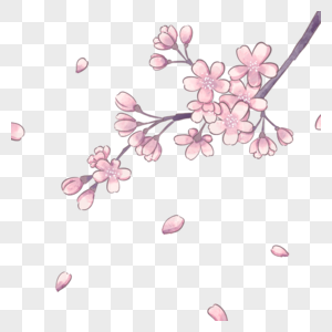 简单水彩春季樱花图片