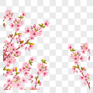 粉色优雅的光效樱花枝条图片