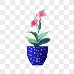 蓝色花盆粉色花室内盆栽植物图片