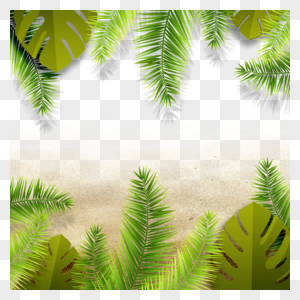 夏季植物沙滩绿叶热带绿植图片