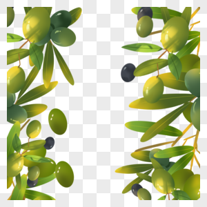 创意橄榄植物边框图片