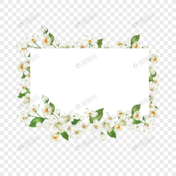 茉莉花边框水彩花卉创意图片
