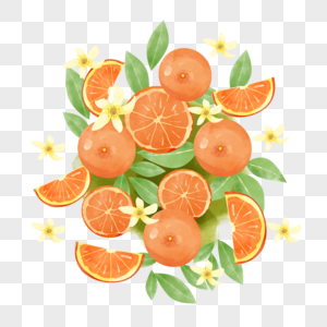 橘子水彩风格水果橙色平铺图片