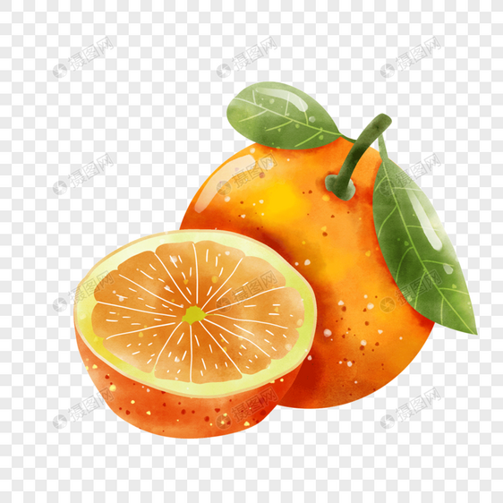 水彩风格水果橘子对半切开图片