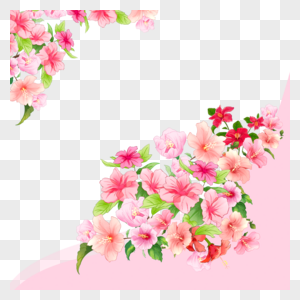 木槿花花卉花丛边框图片