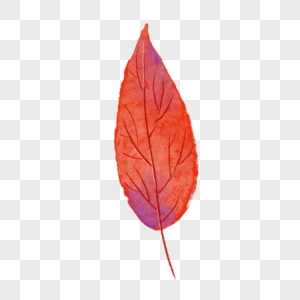紫红色纹路水彩秋季树叶图片