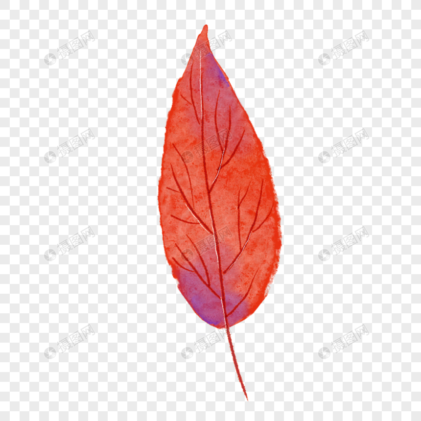 紫红色纹路水彩秋季树叶图片
