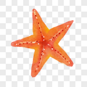 水彩海洋生物金黄海星图片