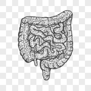 抽象多边形大肠器官几何医学图片