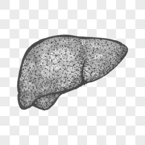抽象多边形内脏肝脏器官几何图片