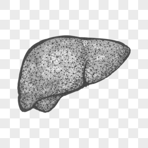 抽象多边形内脏肝脏器官几何高清图片