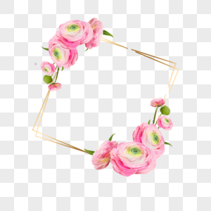 水彩婚礼花卉粉色花毛茛金线边框图片