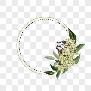 水彩荚蒾花卉圆形边框图片