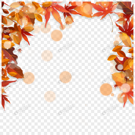 秋季光效树叶边框枫叶图片