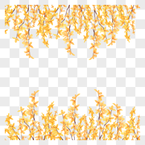 水彩黄色连翘花卉植物边框图片
