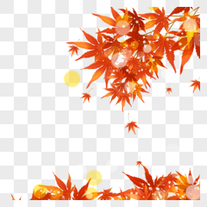 红色树叶光效边框图片