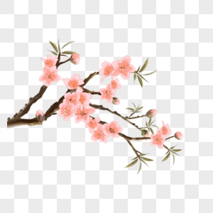 水彩桃花树花卉植物图片