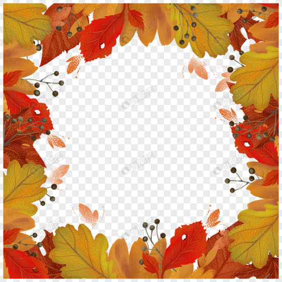 枫叶小浆果秋天叶子边框图片