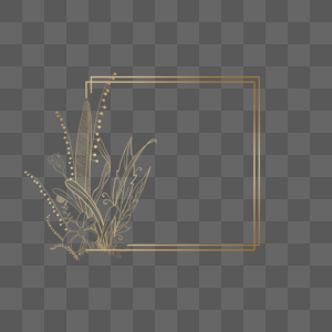 金色植物叶子装饰线稿方框图片