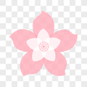 白色花瓣粉色樱花花朵图片