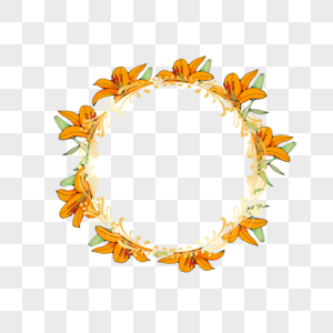 圆形橙色百合婚礼花卉边框图片