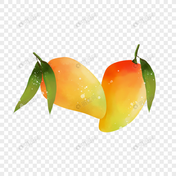 水彩夏季水果芒果图片