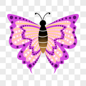 紫色昆虫多彩蝴蝶图片