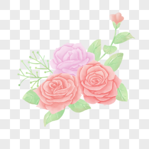 植物水彩花卉粉色大朵玫瑰图片