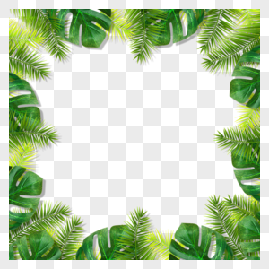 夏季热带绿色树叶边框图片
