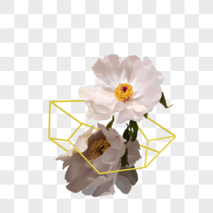 几何金框婚礼花卉洁白花朵图片