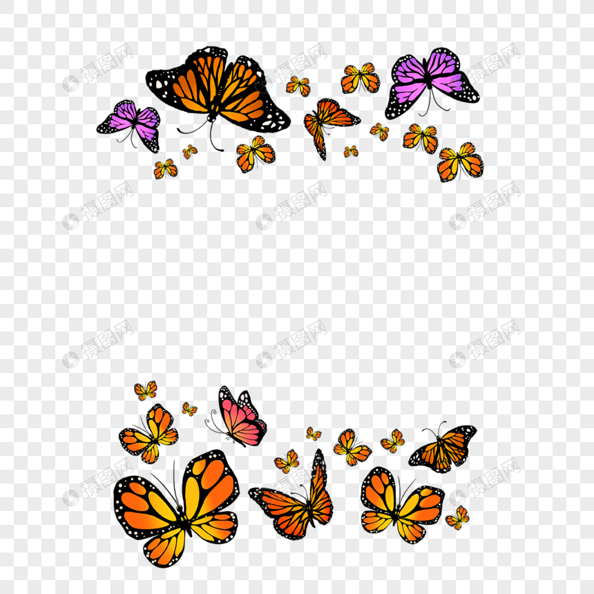 紫色蝴蝶帝王蝶蝴蝶黄色