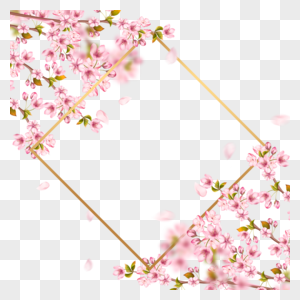 春天樱花枝条边框图片