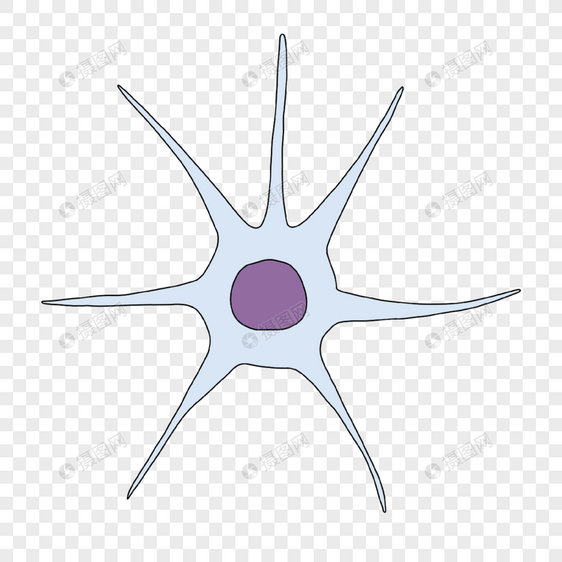 神经病学星状神经元插画图片