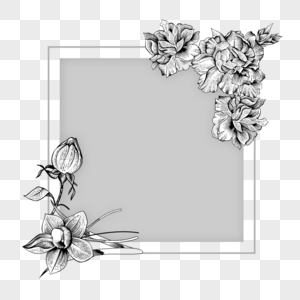婚礼质感线稿花卉边框图片
