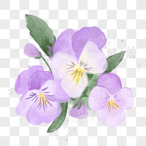 三色堇水彩风格花卉蝴蝶花紫色图片
