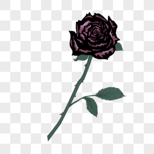 玫瑰花叶子黑色风格图片