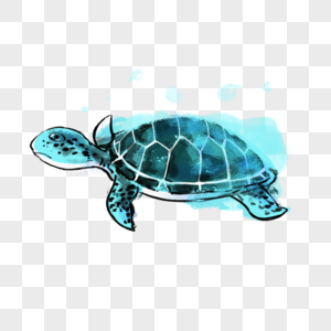 海龟水彩蓝色海洋动物图片