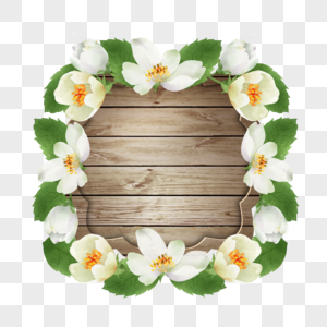茉莉花卉水彩自然美丽边框图片