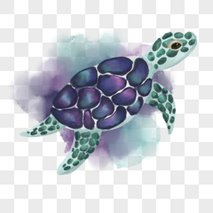 海龟动物唯美风格图片