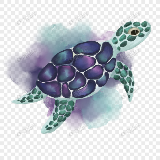 海龟动物唯美风格图片