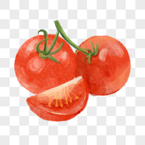 西红柿水彩新鲜蔬菜水果图片